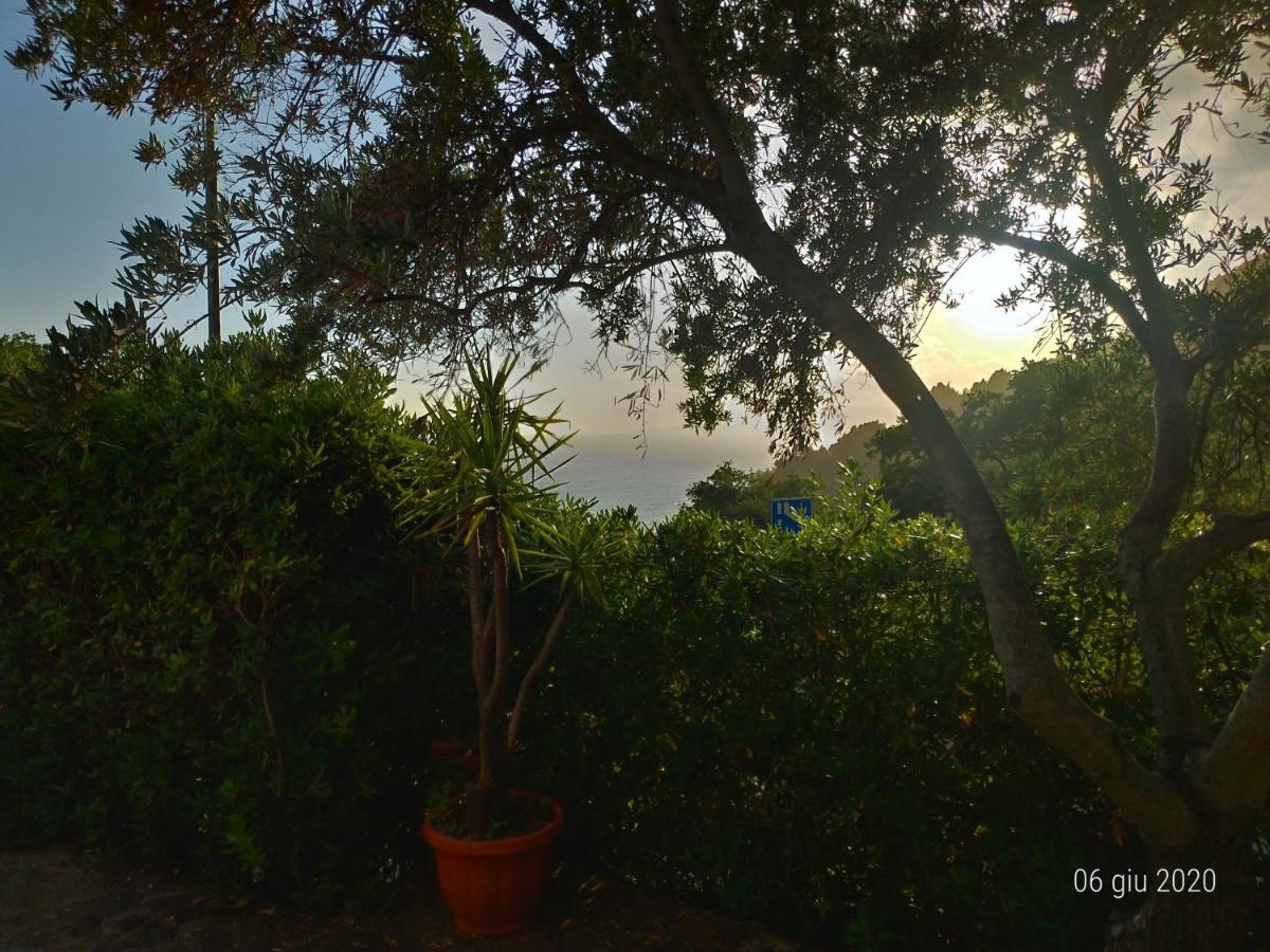 Bed & Breakfast Laino Maratea Exterior photo